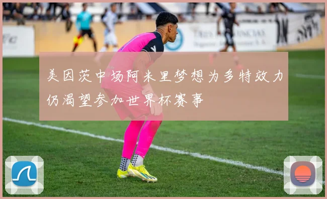美因茨中场阿米里梦想为多特效力仍渴望参加世界杯赛事