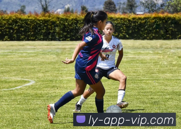 乐鱼体育平台生态图