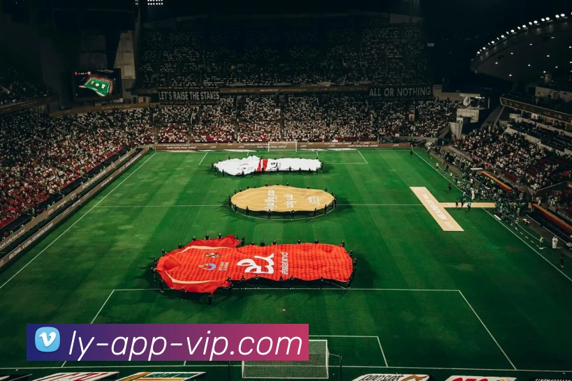 乐鱼体育APP 封面图